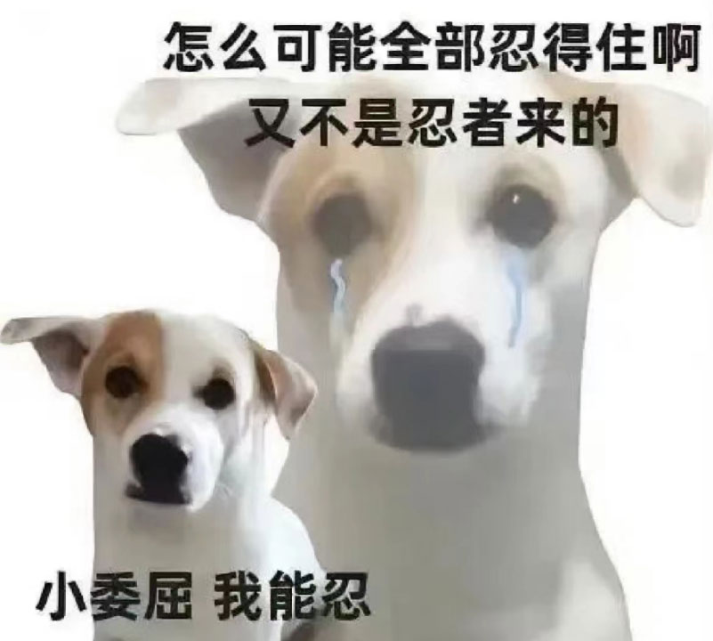决裂！哥大永久退出US.News排名！怎样摆脱不靠谱排名合理选校？？1228