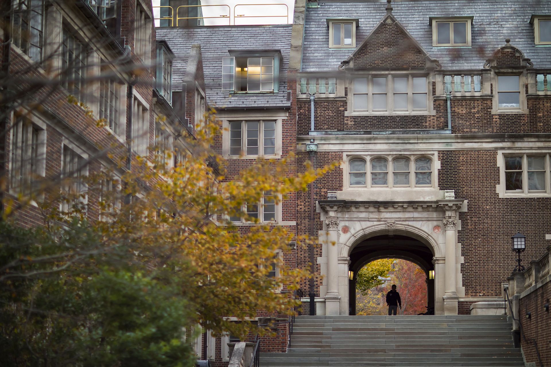 admissions-quad-main
